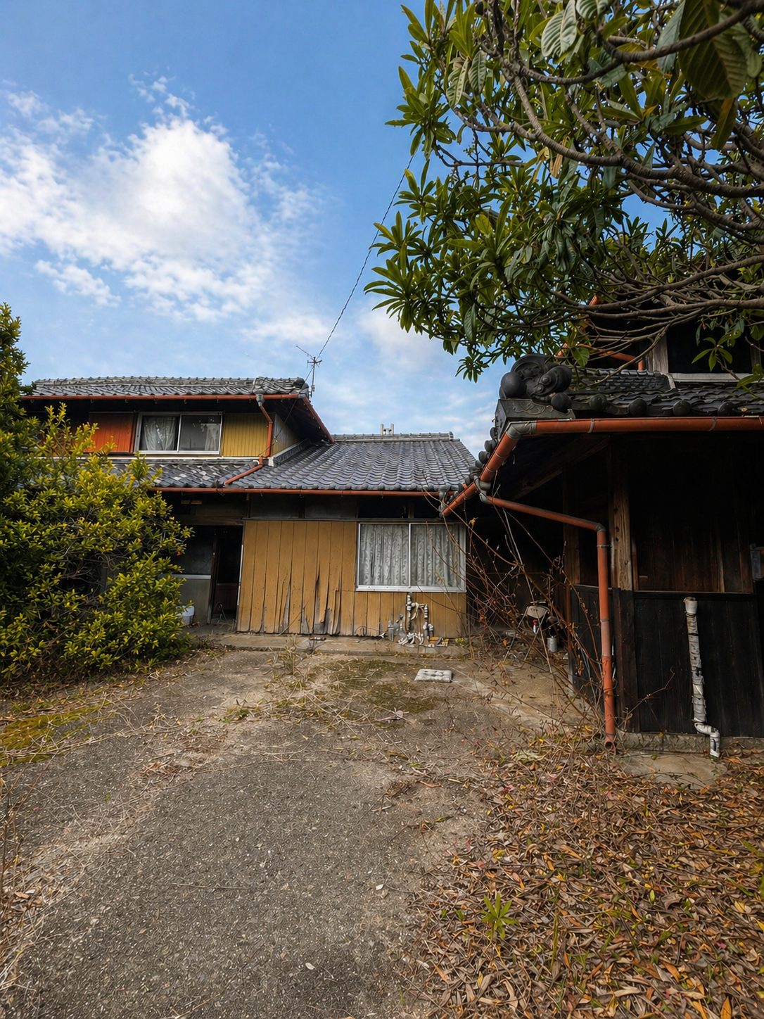 神出東229の敷地内にある建物の提供画像